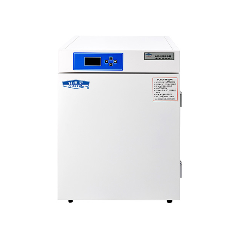 上海躍進HDPF-256電熱恒溫培養箱